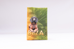 Obal na očkovací průkaz - celý design na míru