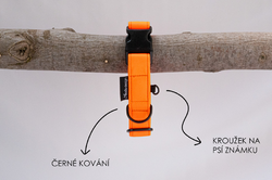 Obojek Oranžový neon
