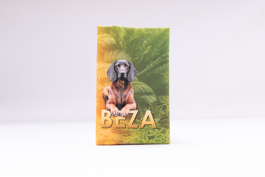Obal na očkovací průkaz - celý design na míru